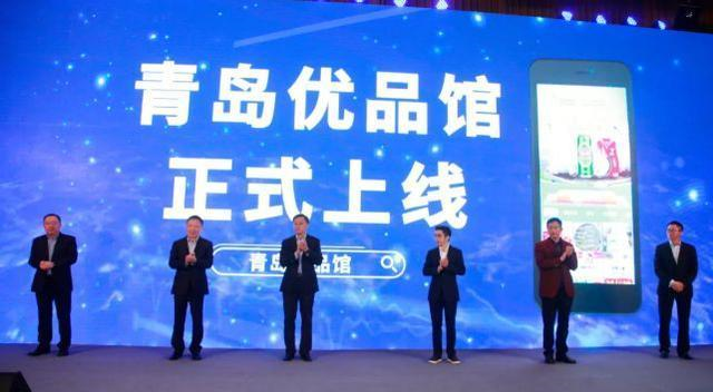 拼多多最新广告,时代印记与电商领域的独特声音