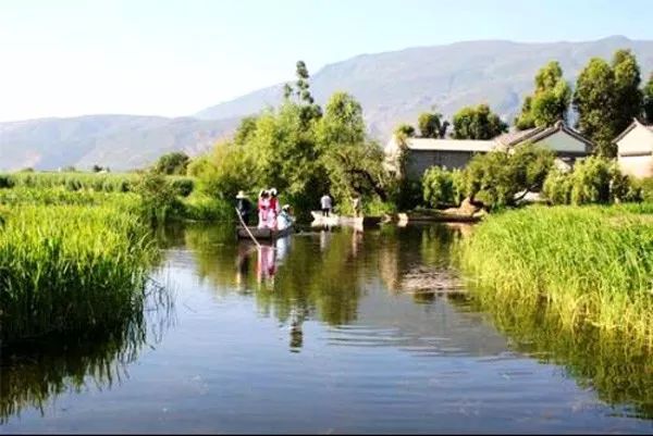 洱源最新新闻,小镇温馨日常趣事报道