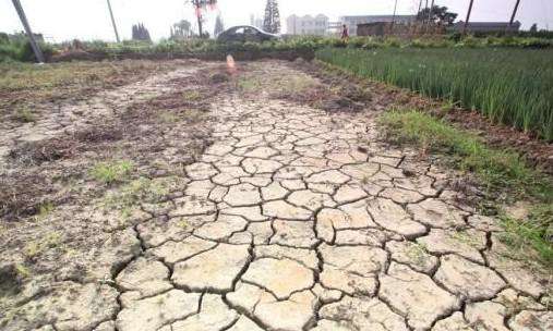 2017年辽宁干旱最新情况分析与报告