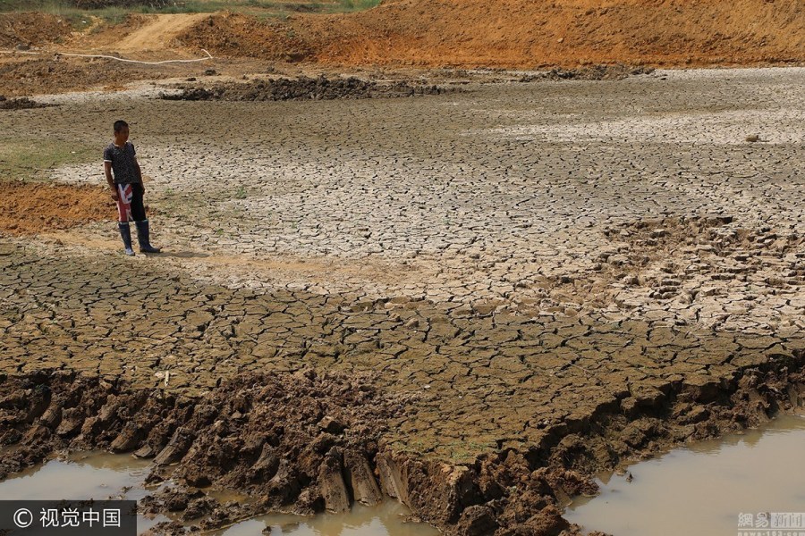 2017年辽宁干旱最新情况分析与报告