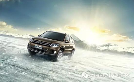 最新大众途税,驾驭变化,成就自我,智慧之旅启程