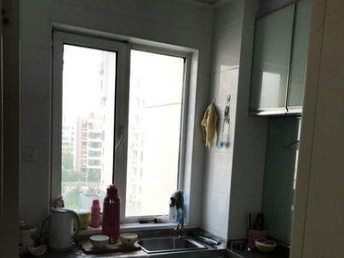 汉沽租房最新动态揭秘，小巷深处的隐藏房源