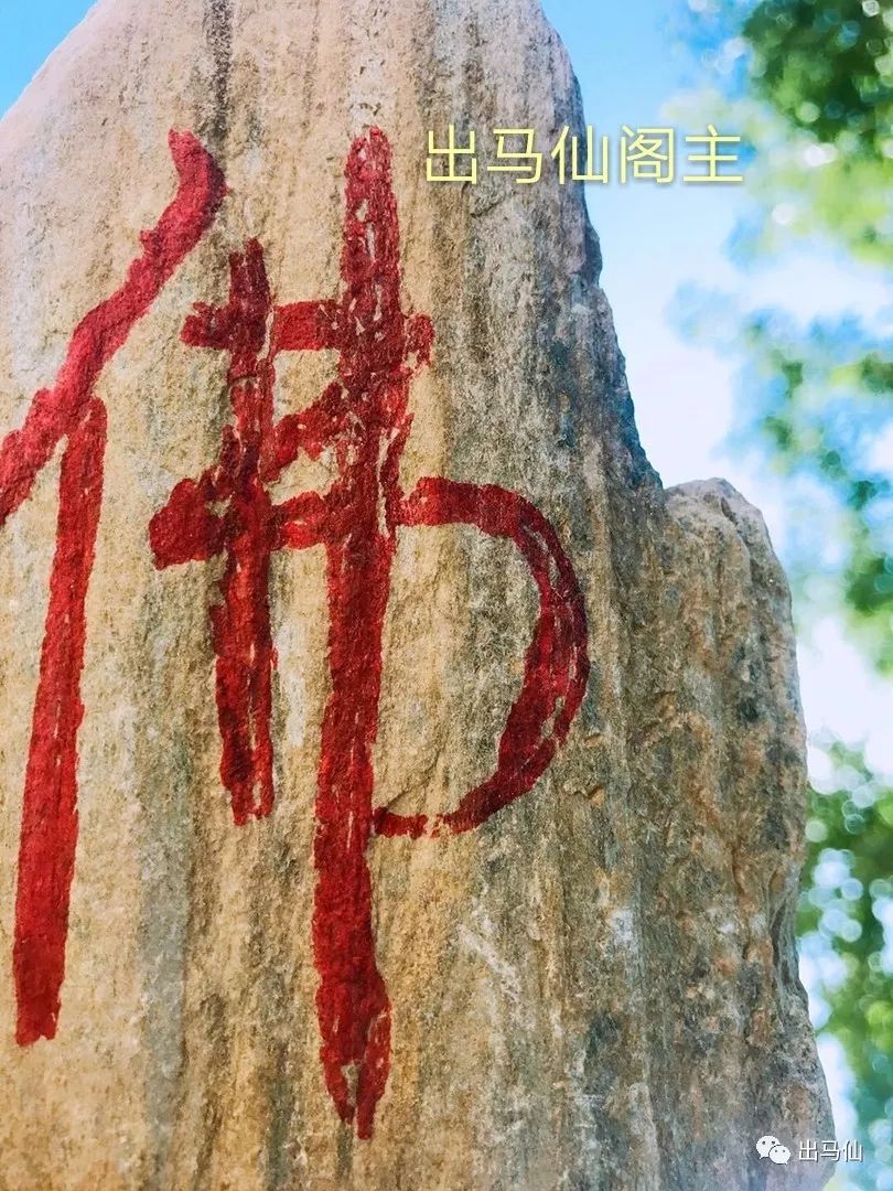 落户咨询 第324页