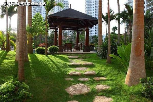 最新办厂项目深度解析与观点阐述,探索最新办厂趋势及策略