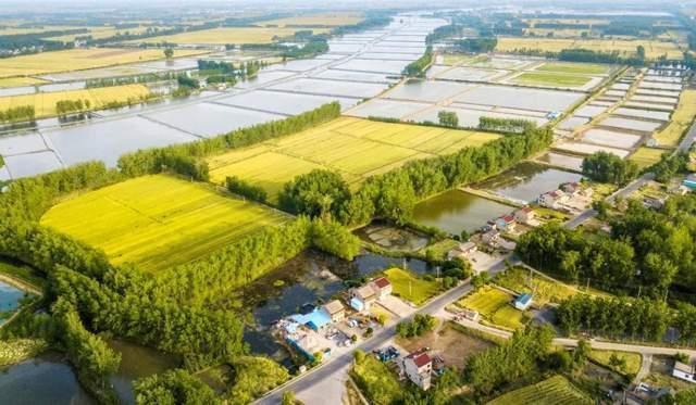 金湖最新新闻揭秘,小巷深处的独特风味美食宝藏探访记