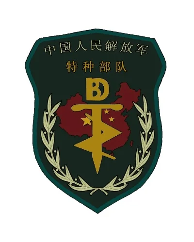 防化团最新臂章制作与佩戴指南