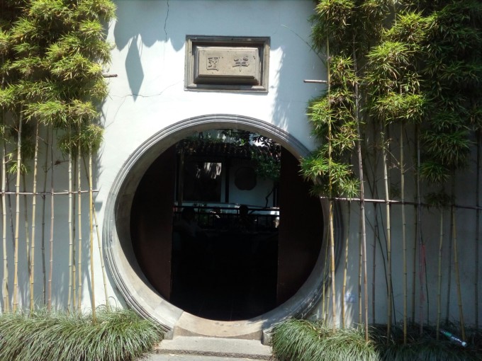 ACD最新版,小巷秘境中的特色小店探秘