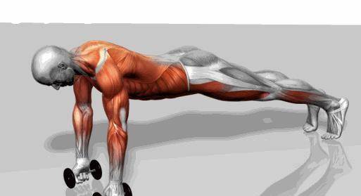 最新型哑铃介绍及使用步骤指南