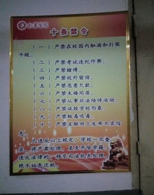 探索现代婚姻禁令现象，最新禁婚令分析