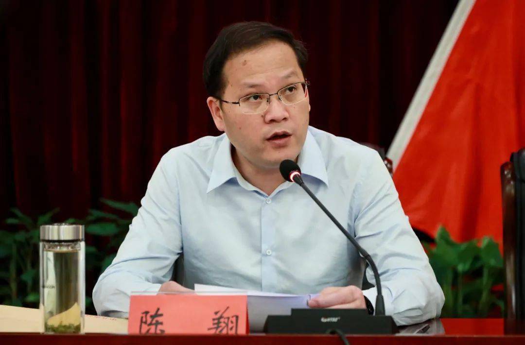 聚焦三大要点，最新猫热门视频全解析