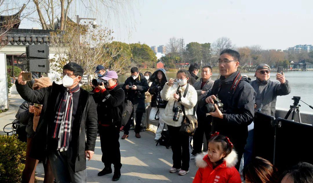 最新玉琴动态,音乐与艺术的融合之美