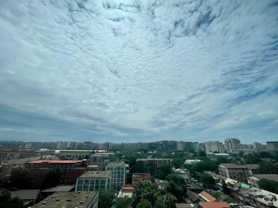 明天台风最新消息与小巷中的惊喜宝藏