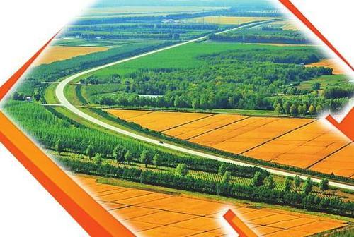 湖北新区区划新貌,友情与家的纽带,奇妙故事展现温馨画卷