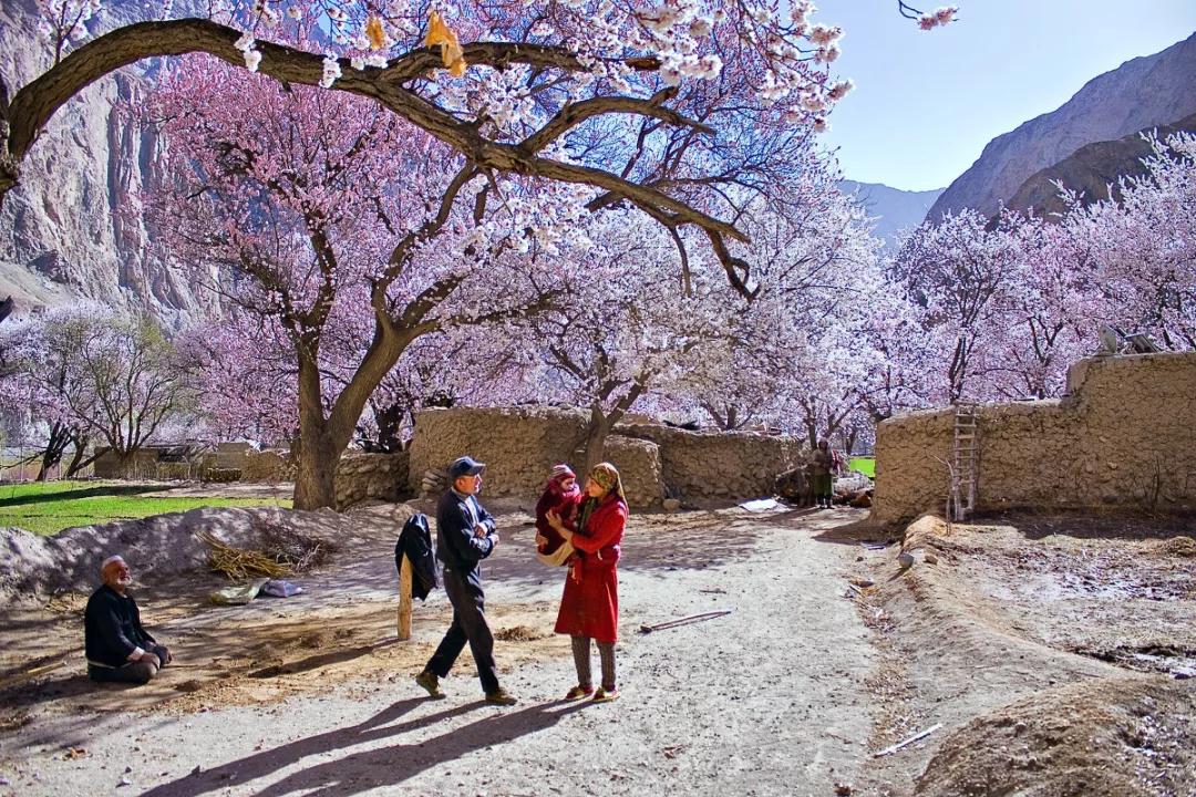 枫随风最新艺术作品集,独特艺术盛宴的视觉盛宴!