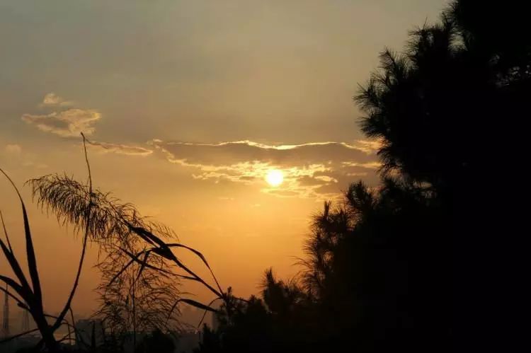 蛇夫座最新探索之旅,自然美景的沉浸式体验