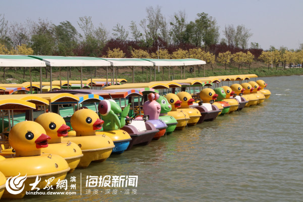 上海禾辉信息 第295页