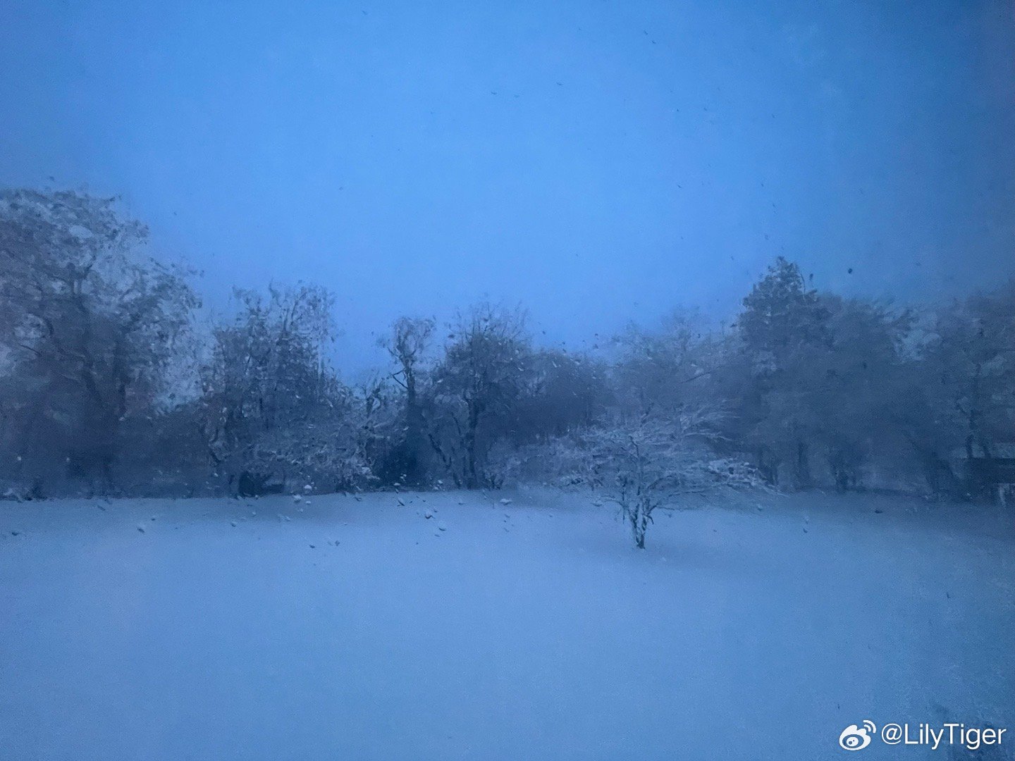 一站式落户 第290页