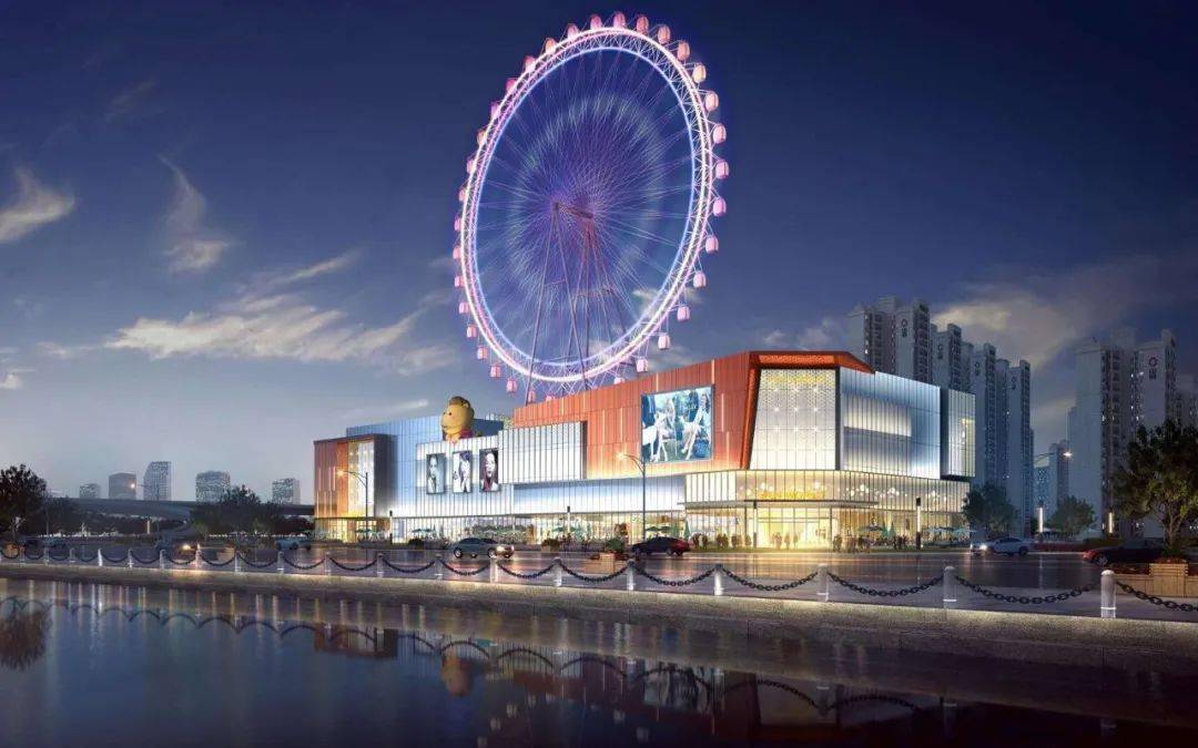 段伟红最新动态与进展更新