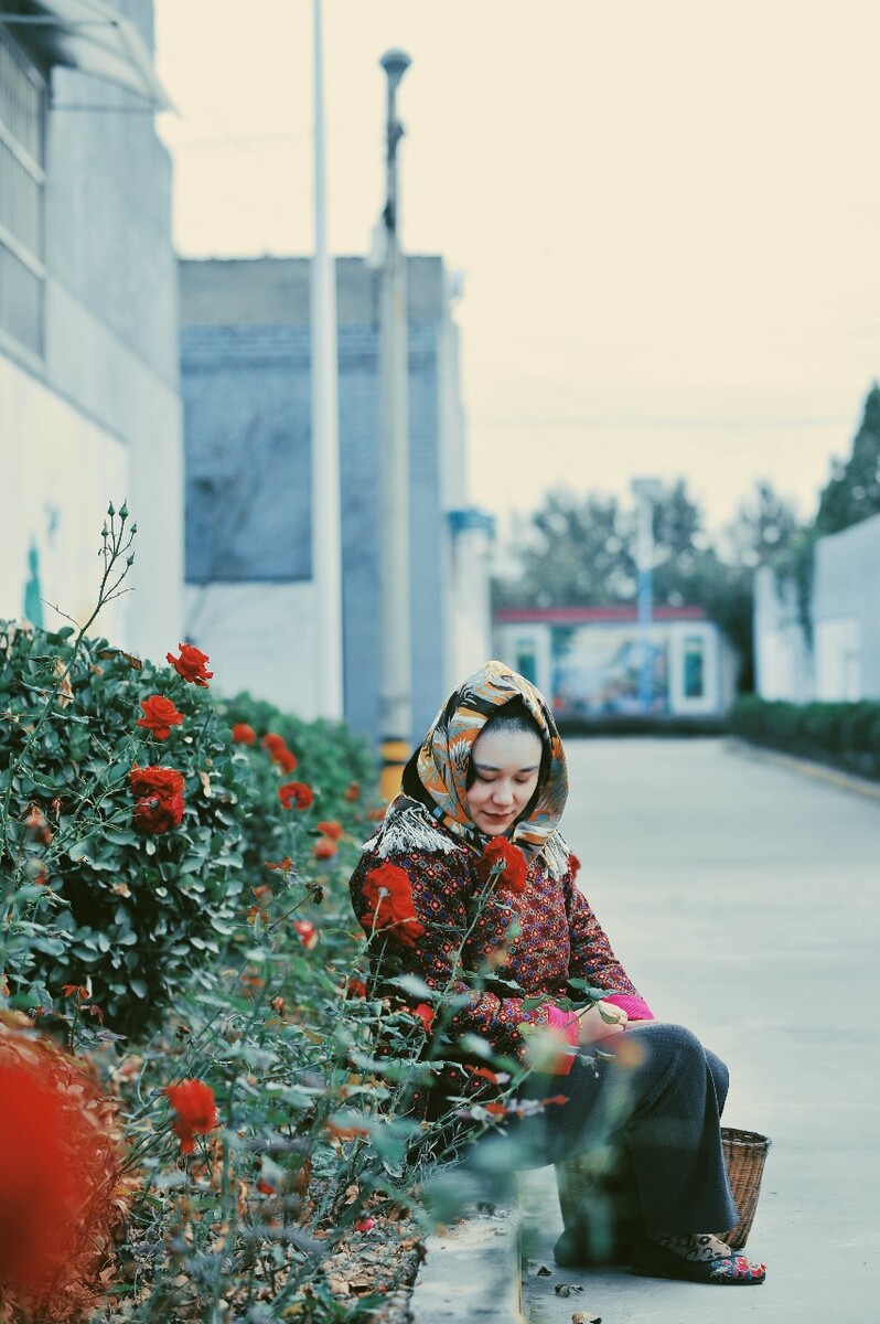 村花时代,乡村荣光的崭新篇章