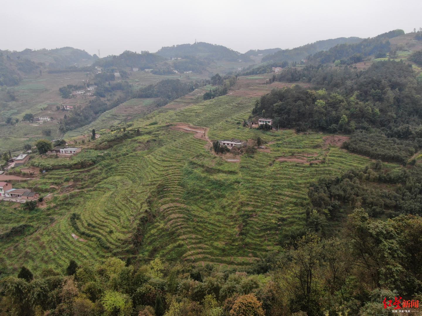 拉萨最新购房政策解析与论述