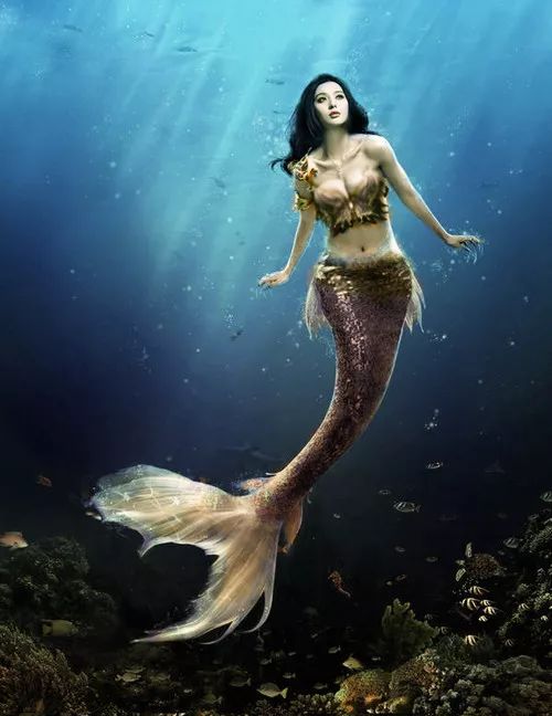 巴巴鱼最新电影,励志成长故事,展现变化的力量与幽默魅力