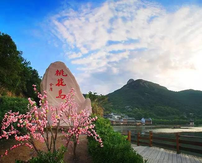 沈蔓歌的自然探索之旅,追寻美景与内心宁静