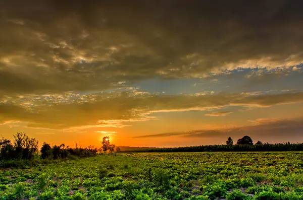沈蔓歌的自然探索之旅,追寻美景与内心宁静