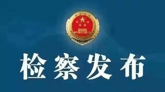 宁都最新人事动态,解读与观点阐述