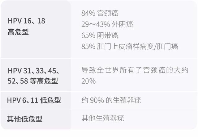宫颈疫苗最新价格及健康保护知识