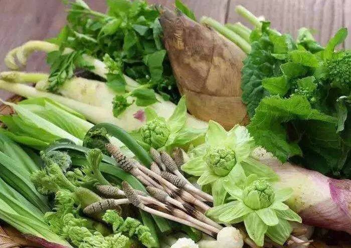 最新时令蔬菜大赏,新鲜蔬菜一览🥦🥒🍆