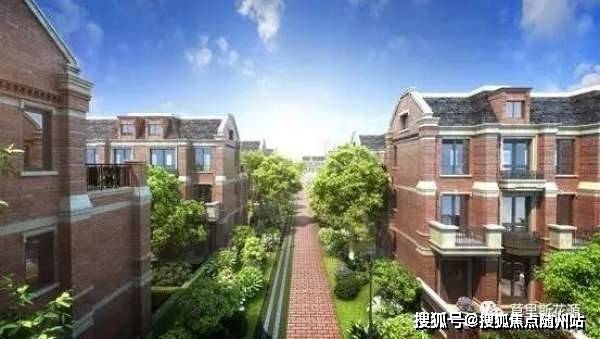 信宜最新病毒深度分析与观点阐述