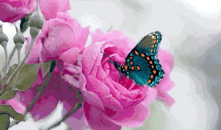 最新高清VA视觉盛宴,尽享极致画质体验!