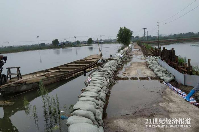 上海禾辉信息 第283页