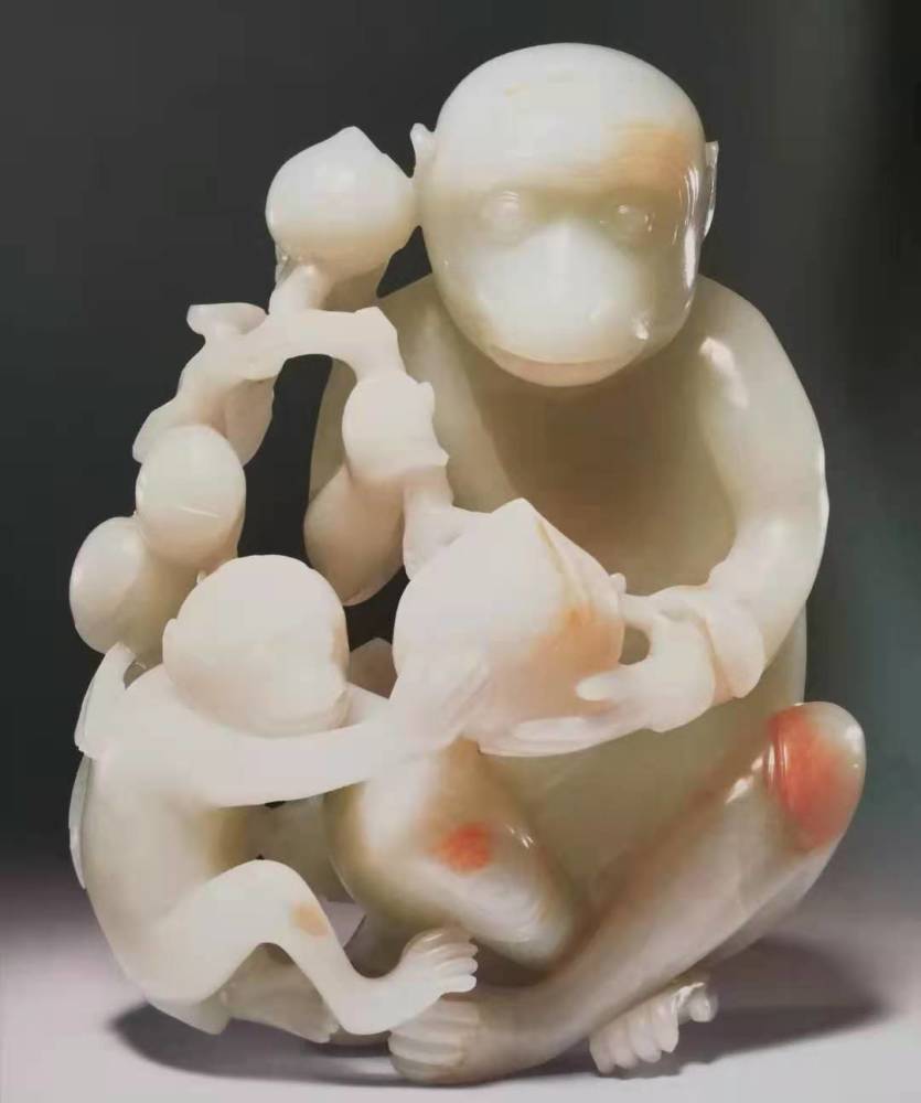 杨惠智,时代之光下的璀璨新星崛起