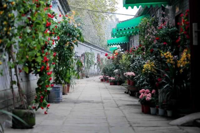 疫情最新素材视频,探索小巷深处的美食秘境,感受独特味道