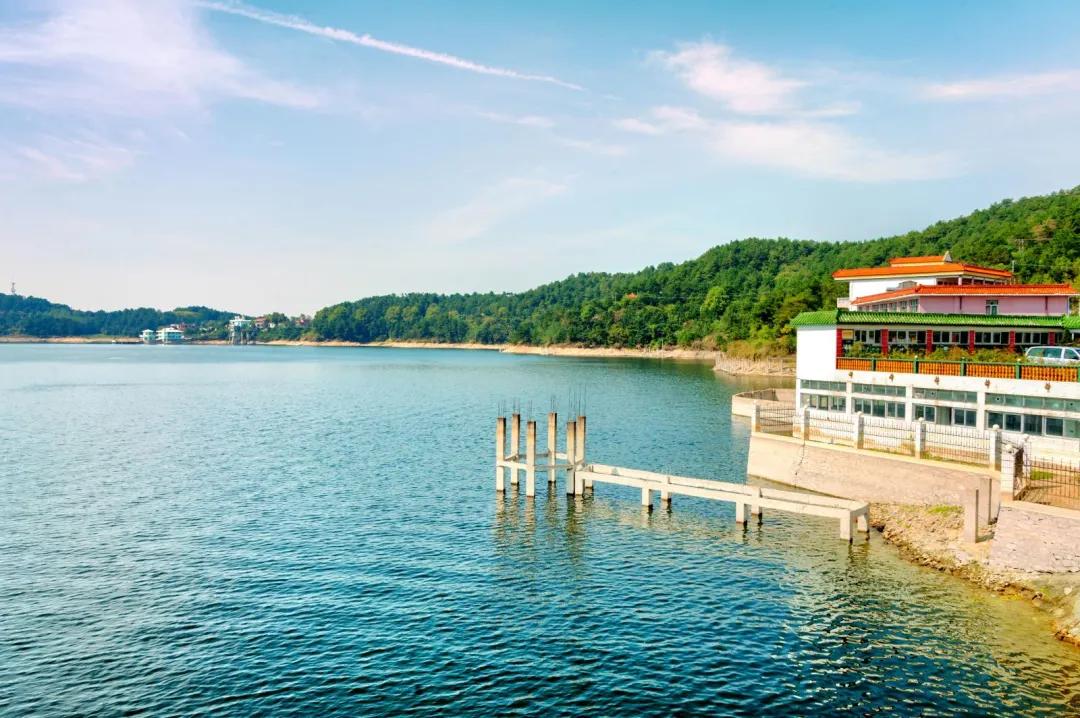 新洲最新招商详解,初学者与进阶用户的招商步骤指南