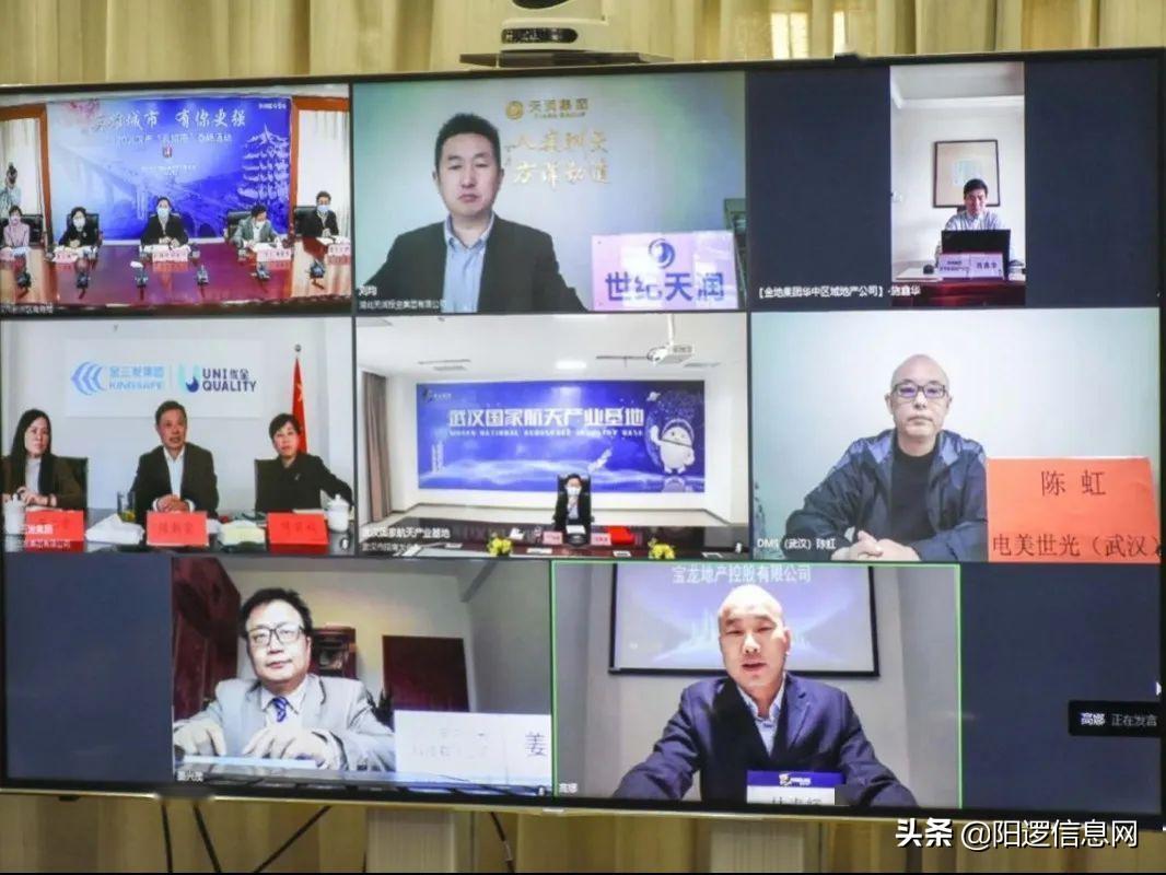 新洲最新招商详解,初学者与进阶用户的招商步骤指南