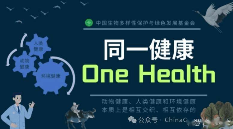 法国最新病毒引发全球关注热议