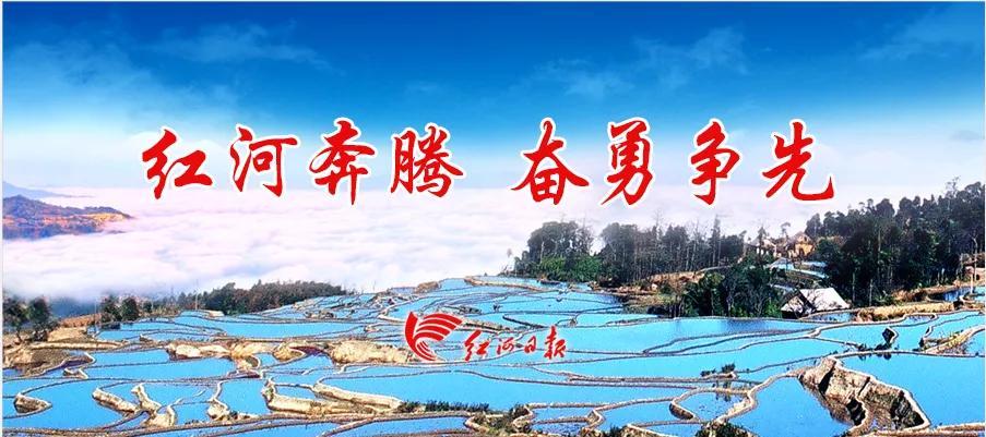 海南台风最新视频,逆风破浪,展现学习成长的力量