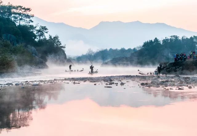 最新茶饮探索，自然美景之旅的味蕾之旅