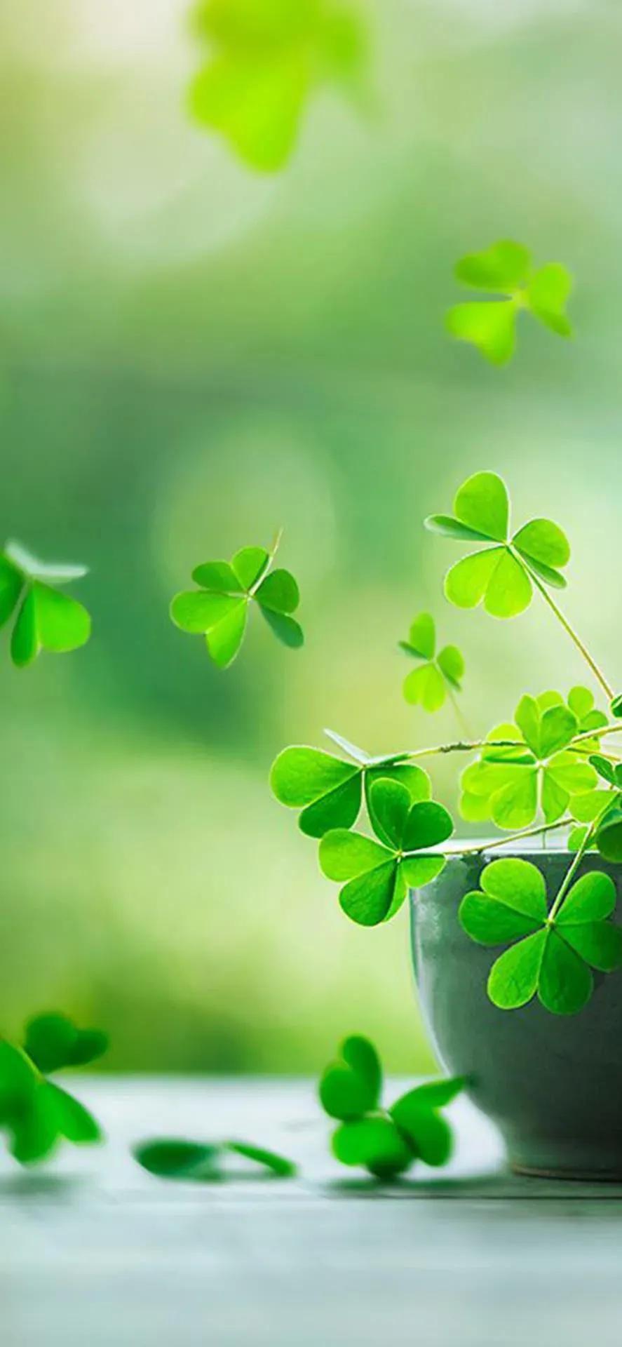 最新韩国理片,​独家分享最新韩国理片，带你领略不一样的视觉盛宴！