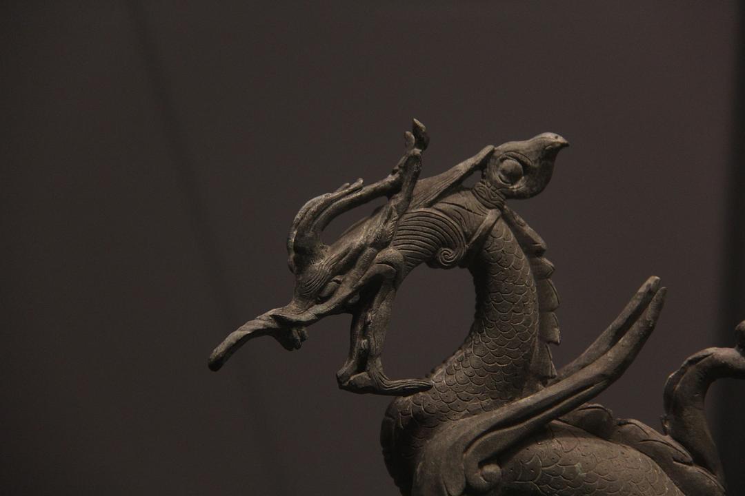 最新坐龙图片,高科技产品的革新之旅展示