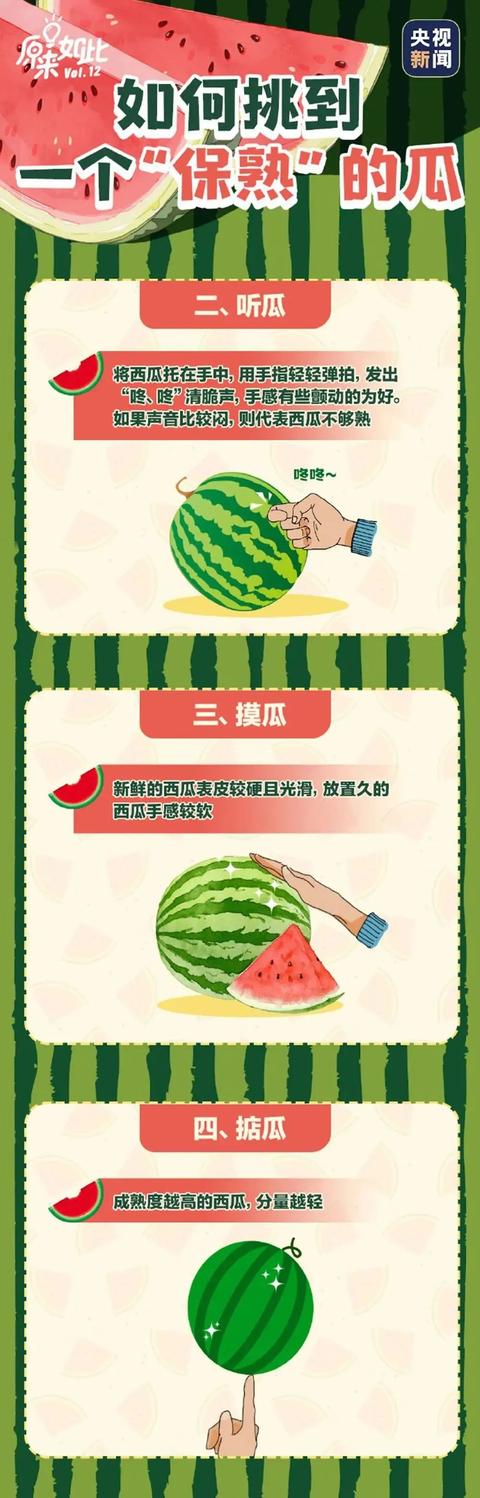 最新吃瓜文件深度解读与观点阐述,一网打尽热门事件内幕揭秘