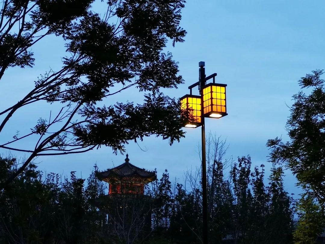 一站式落户 第261页
