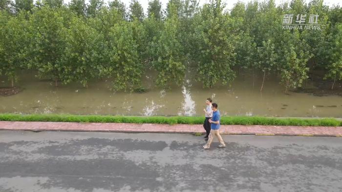 长江防汛最新水情更新