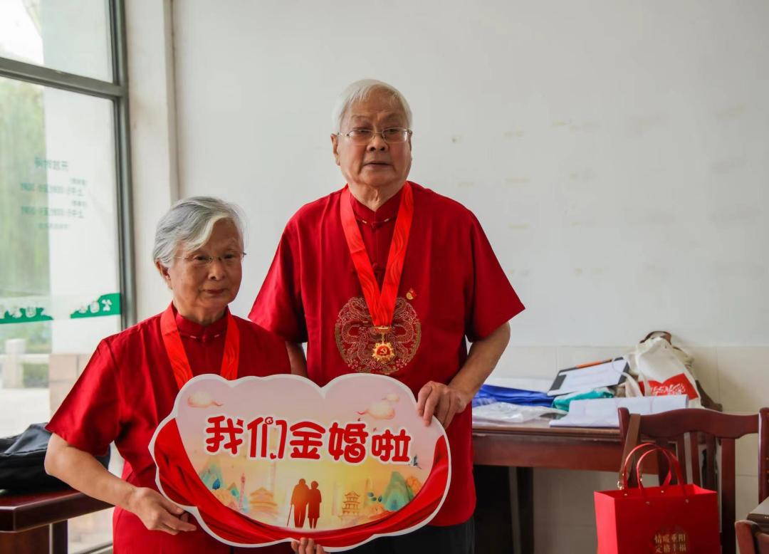 世纪公园荷花盛开,最新观赏指南