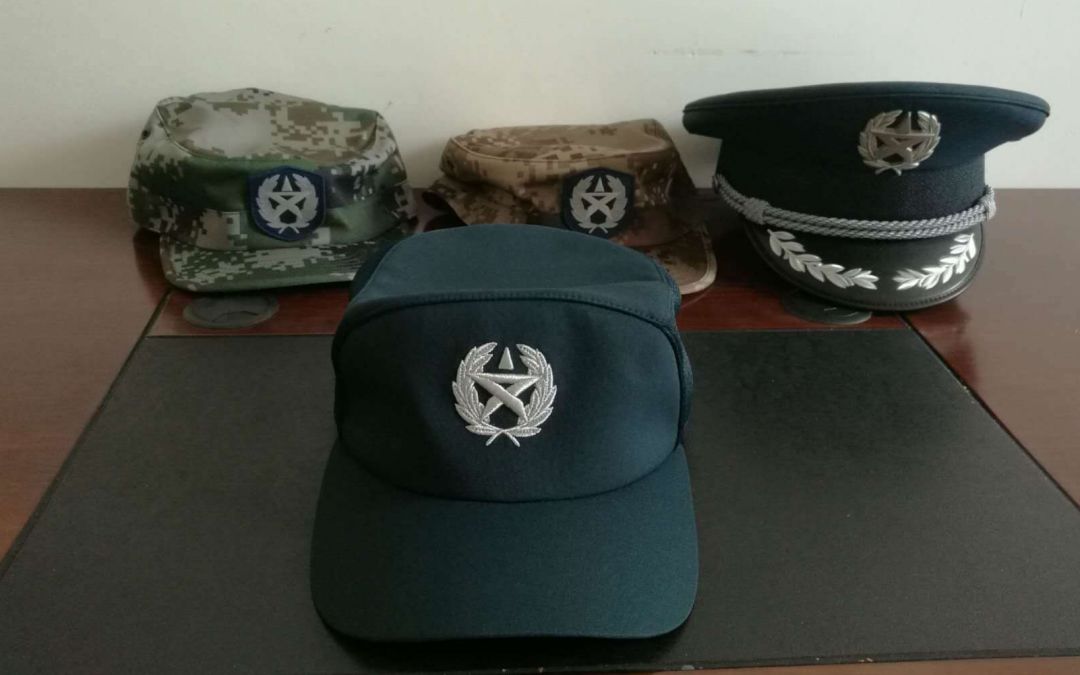 最新文职帽徽详解,细节解析与应用意义探讨