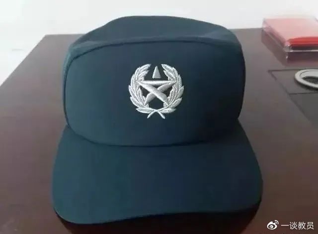 最新文职帽徽详解,细节解析与应用意义探讨