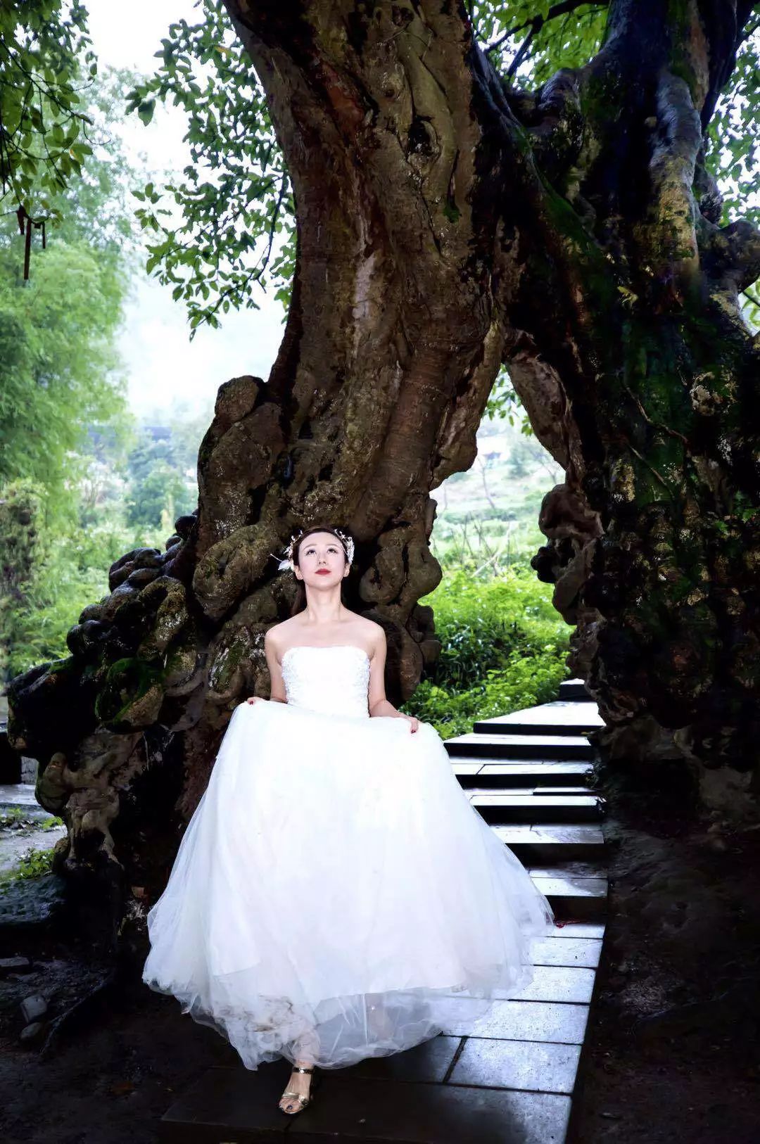 最新个场舞,与自然共舞,探寻内心平和的旅程