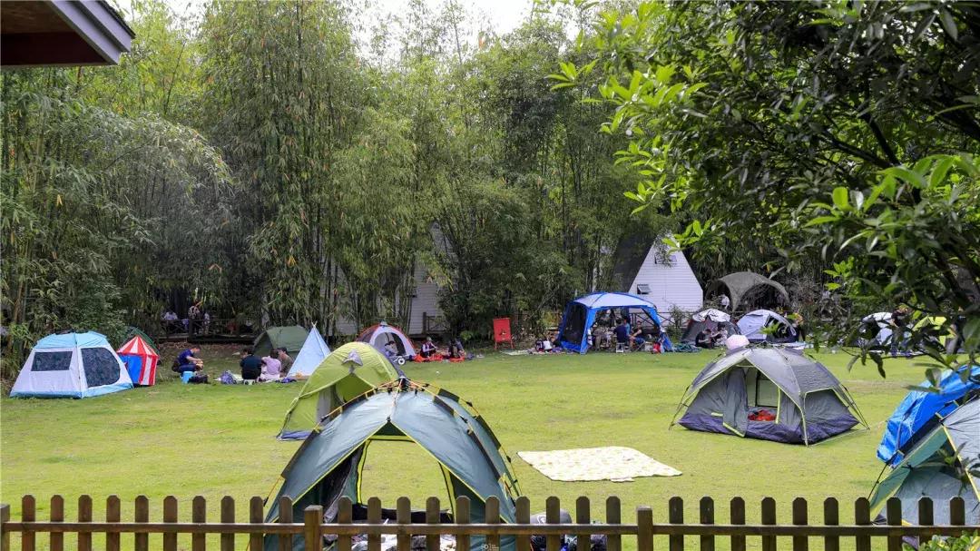 VT最新版,小巷中的美食秘境